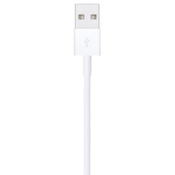 Renoverad Apple Lightning to USB Cable (2M) - Reebelo Sverige
