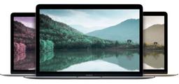 Renoverad MacBook (Early 2015) 12-inch - Reebelo Sverige