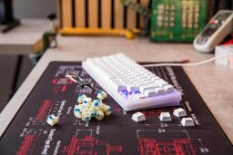 Renoverad CHERRY MX RGB Blue Switch Kit - Reebelo Sverige