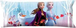 Renoverad Disney Frozen Body Pillow 20" x 50" - Reebelo Sverige