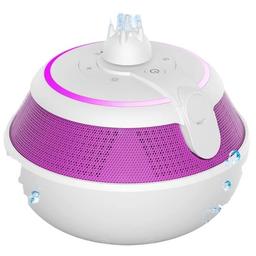 Renoverad Foifope Pool Speaker - Reebelo Sverige
