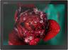 Lenovo ThinkPad X1 2-in-1 Tablet (Gen 3) 13.3"