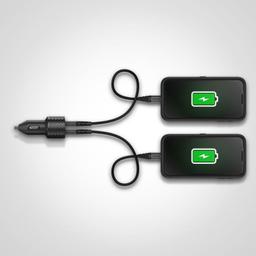 Renoverad OtterBox USB-A Dual Port Car Charger (24W) - Reebelo Sverige