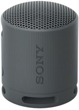 Renoverad Sony SRS-XB100 Portable Wireless Speaker - Reebelo Sverige