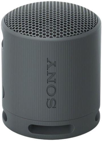 Renoverad Sony SRS-XB100 Portable Wireless Speaker - Reebelo Sverige