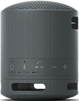 Renoverad Sony SRS-XB100 Portable Wireless Speaker - Reebelo Sverige