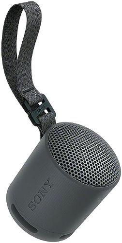 Renoverad Sony SRS-XB100 Portable Wireless Speaker - Reebelo Sverige
