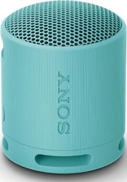 Renoverad Sony SRS-XB100 Portable Wireless Speaker - Reebelo Sverige