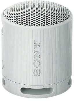 Renoverad Sony SRS-XB100 Portable Wireless Speaker - Reebelo Sverige