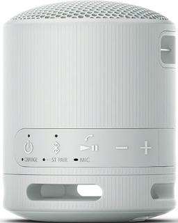 Renoverad Sony SRS-XB100 Portable Wireless Speaker - Reebelo Sverige