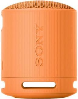 Renoverad Sony SRS-XB100 Portable Wireless Speaker - Reebelo Sverige