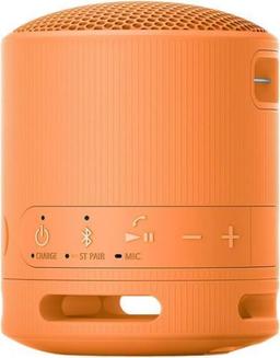 Renoverad Sony SRS-XB100 Portable Wireless Speaker - Reebelo Sverige