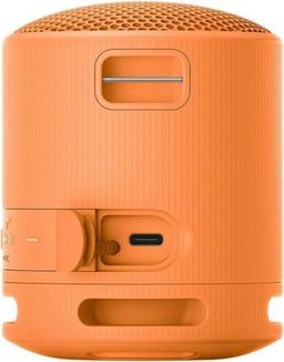 Renoverad Sony SRS-XB100 Portable Wireless Speaker - Reebelo Sverige