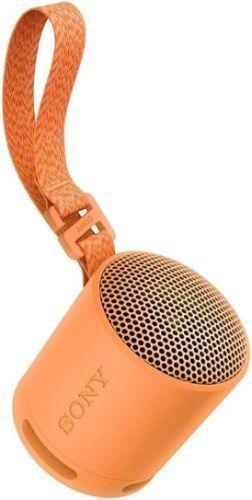 Renoverad Sony SRS-XB100 Portable Wireless Speaker - Reebelo Sverige