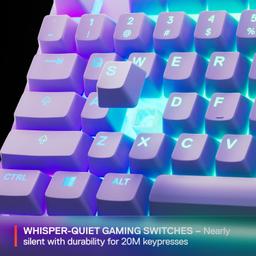 Renoverad SteelSeries Apex 3 TKL Wired RGB Lighting Gaming Keyboard - Reebelo Sverige