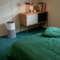 Renoverad Winix C610 Refurbished Air Purifier for Large Rooms with True HEPA Filter - Reebelo Sverige