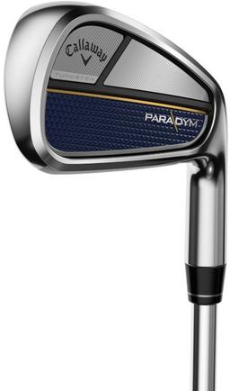 Renoverad Paradym Iron Set - Reebelo Sverige